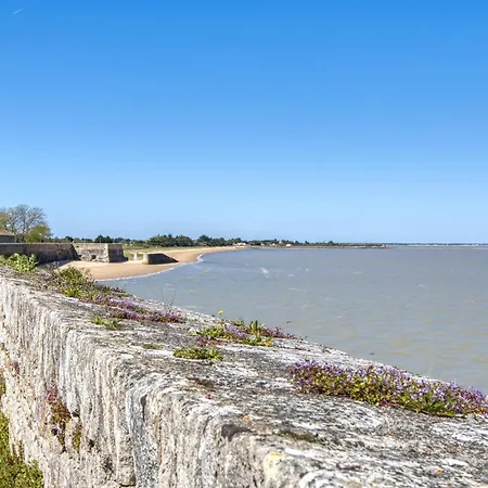 Pet Friendly Apartamento Le Château-dʼOléron